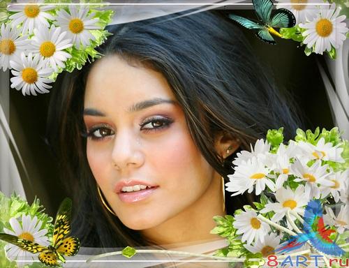 Яркая рамочка к оформления фото почти ромашками Яркая рамочка к оформления фото почти ромашками