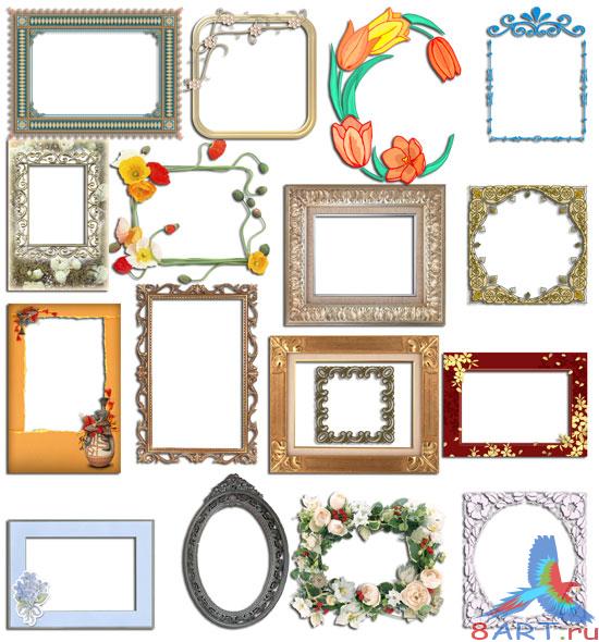 Variety frames collection -    (   )