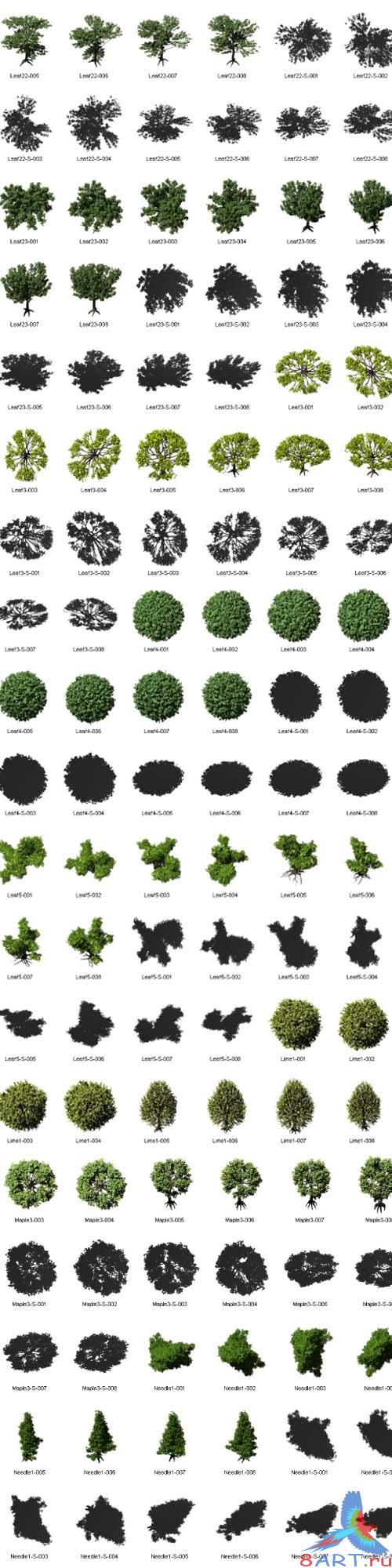 Dosch Birds Eye View Trees