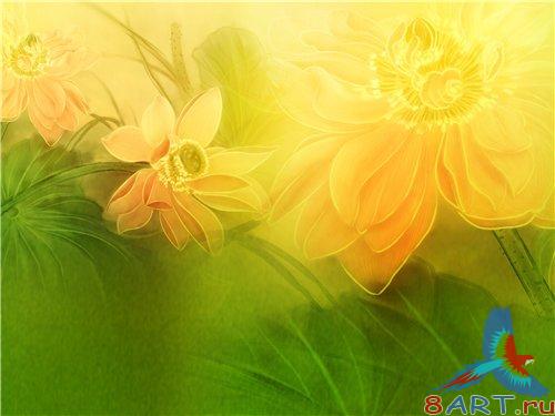 PSD - Green Yellow Floral Background