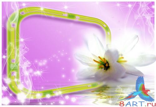 ����� (����� �������)