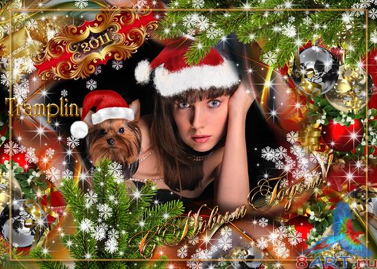 ���������� ����� � ����� ����� ����������  � �2011�