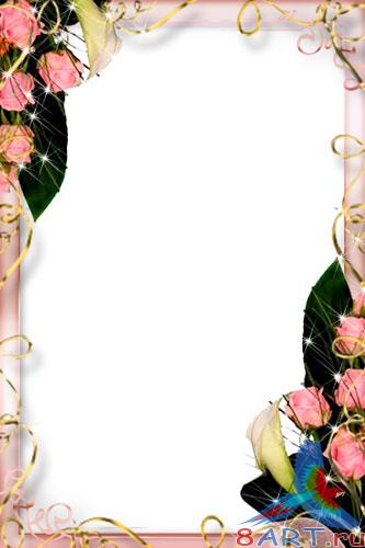 ����� � ������ ���� �������� - ������ ����