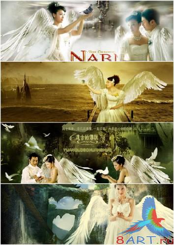 PSD Angel with Wings 2/2