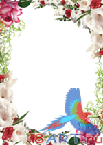 ����� ������ �����