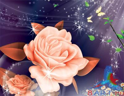 Pink Flower / ������� ������