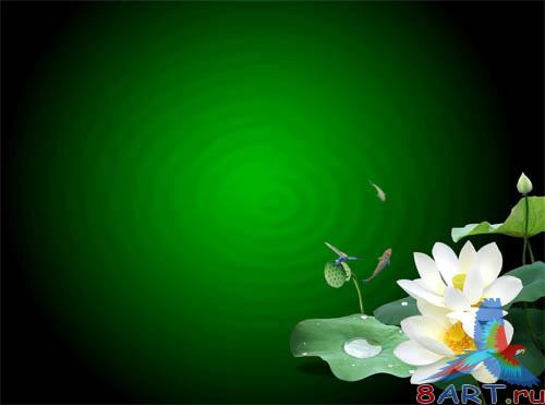 PSD - Dark Green Floral Template PSD - Dark Green Floral Template