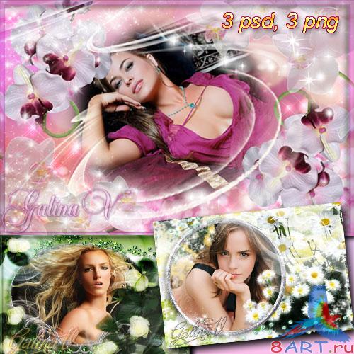 Рамки в видах фото - Цветочный рай: ромашки, орхидеи также розы Рамки в видах фото - Цветочный рай: ромашки, орхидеи также розы