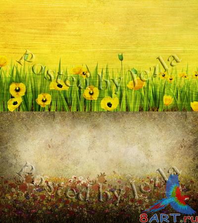 PSD ��������� - ������� �����, ����