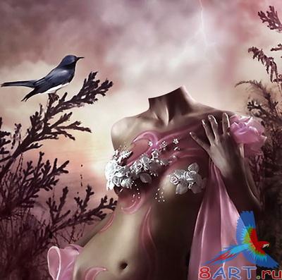 ������ � ��������� ���� "Tenderness"