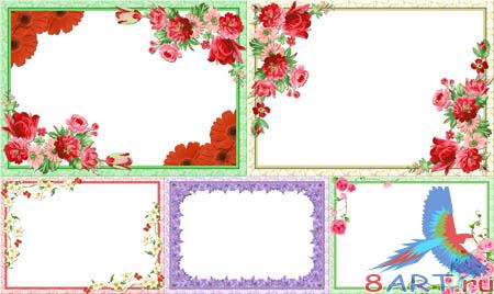 ��������� ����� ���� ������� - 5 ����