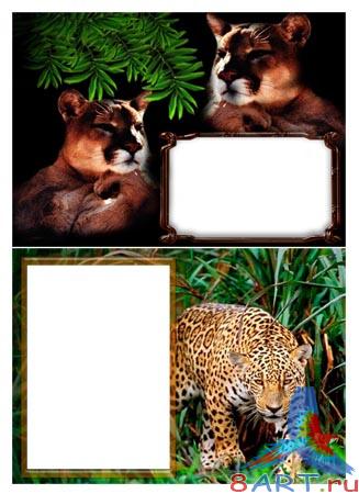 ������� - ����� ������� (PNG)