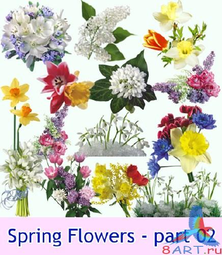 �������� ����� - ������ 2 (png, �������� ���� ����)