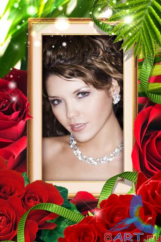 �������� ����� ����� ����������