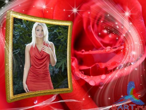 ��������� - ���� ����� �����