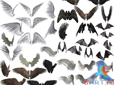 ������� ������ �������