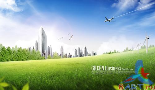 Sources - Aircraft and birds in the sky