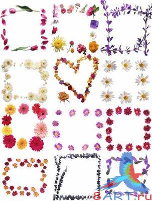 ��������� �����  Floral frames