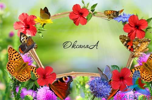 ����� ���� ������� - ��������� ����