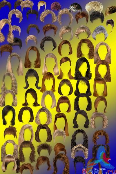 ����� ������� ��������, �������, �����