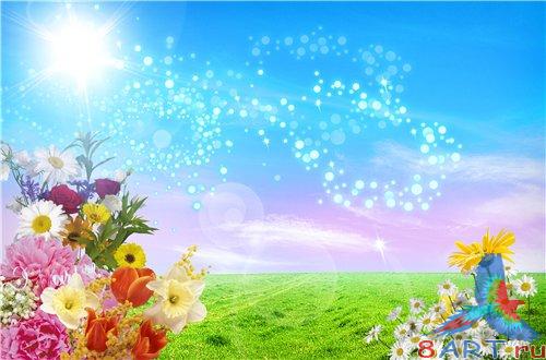 PSD - Different Bright Flowers on the Field