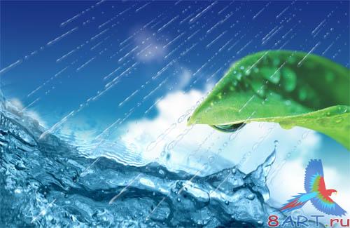 PSD - Leaf in water