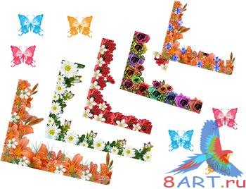 ������������ ��������� �����-������