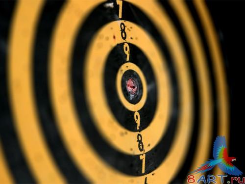 SuperMacro Wallpapers