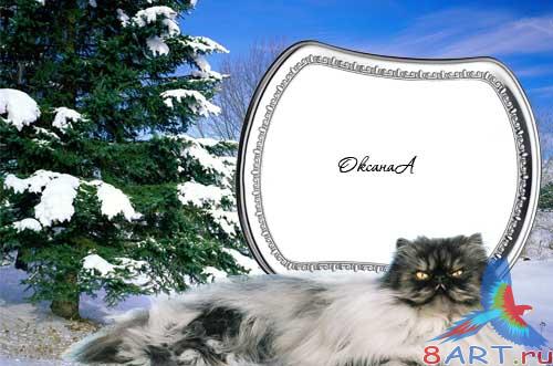 ����� � ����� ������� � � ������� ��� ����