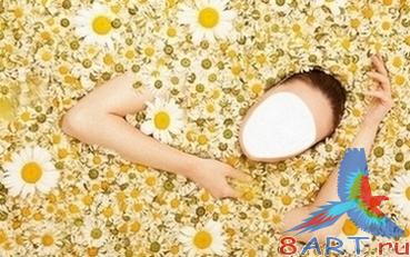 ������ � ����� ���� ��������� ������