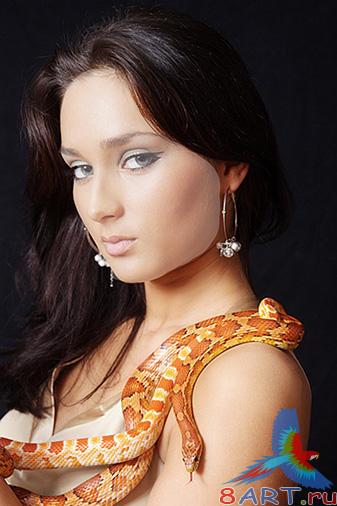 ������� � ��������� ����������� "������� ������ ������� ����"