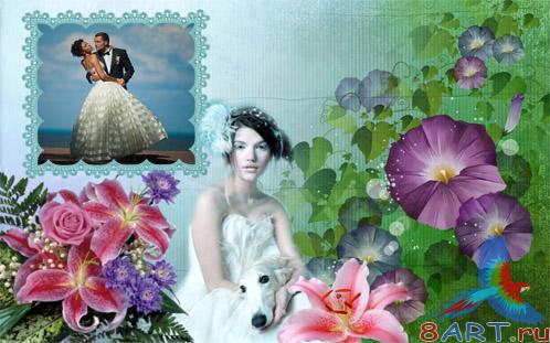 ������������� ��������� - �������� ������������