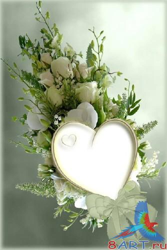 ����� � ������ ���� �������� ������� � ������ �� ���������