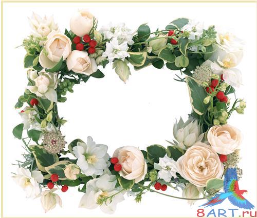 ������������� ������������ ����� � ����� Photoshop 121 ��. PNG (��������� 2011)