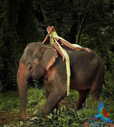 ������ ����� ������� � ������� Photoshop - ��� �����