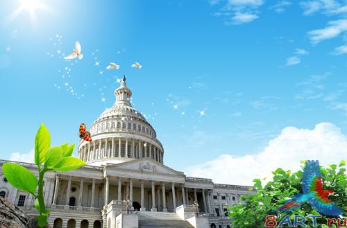 Sources - Pigeons in the sky