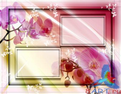 ������������� ������ (�.11)