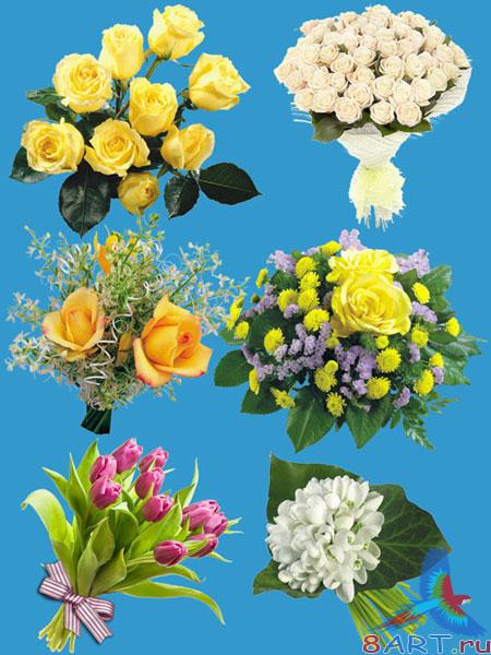 ������� �����,������