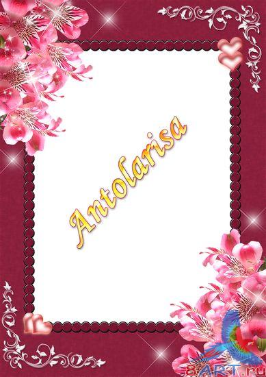 ������� � ����� ���� ���� - �������