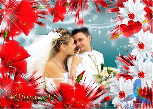 ����� ����� ���������� - ����� �����