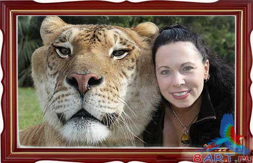 ������ ���� �������� - ��������� ����� ����