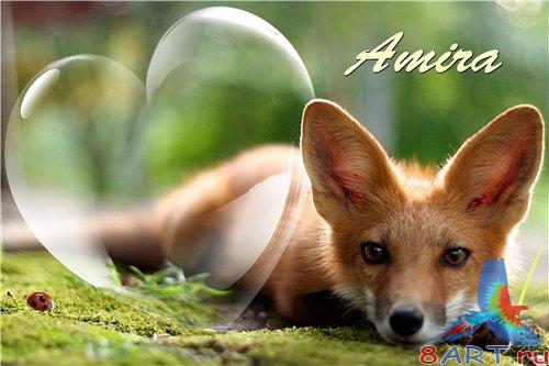 ����� ����� ���� - ������