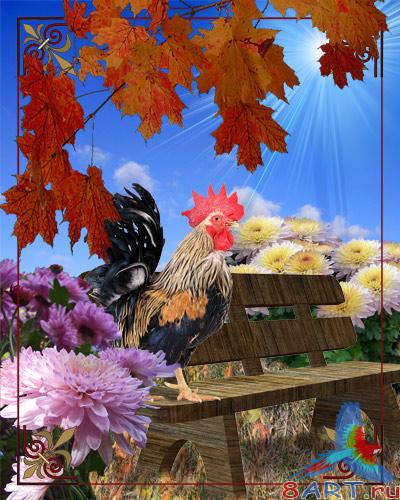 PSD �������� - ����� �����