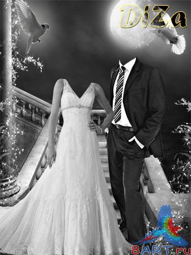 ������ ������