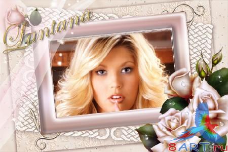 ����� � ������ ���� �������� �������