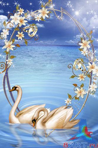 ��������� ������� � ����� ���� - ����� ��������