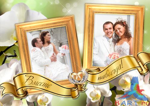 ��������� ����� � ��������� ���� - � ������������� ��������