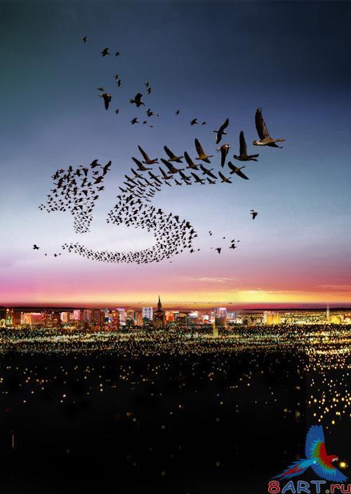 Birds over a night city psd
