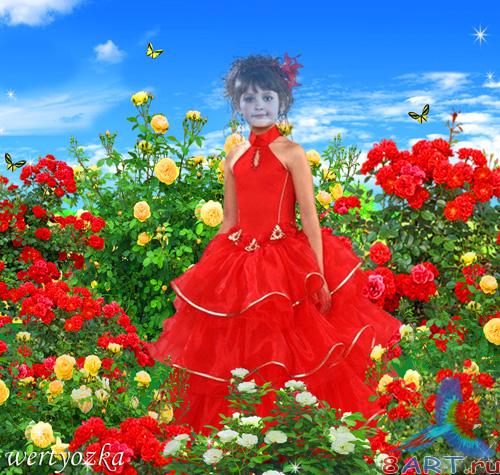 ������� ������ - ���� ����� ���������� ���