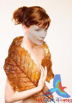 ������ � ����� ���� ���� "������� ����"